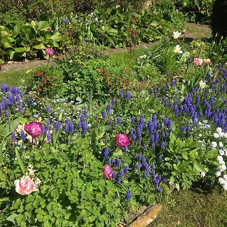Yew Tree Cottage B&B Stow-on-the-Wold Екстериор снимка